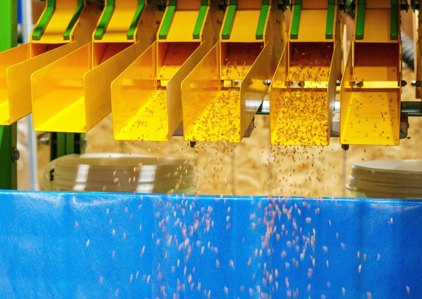 Taking Markets In Their Own Hands