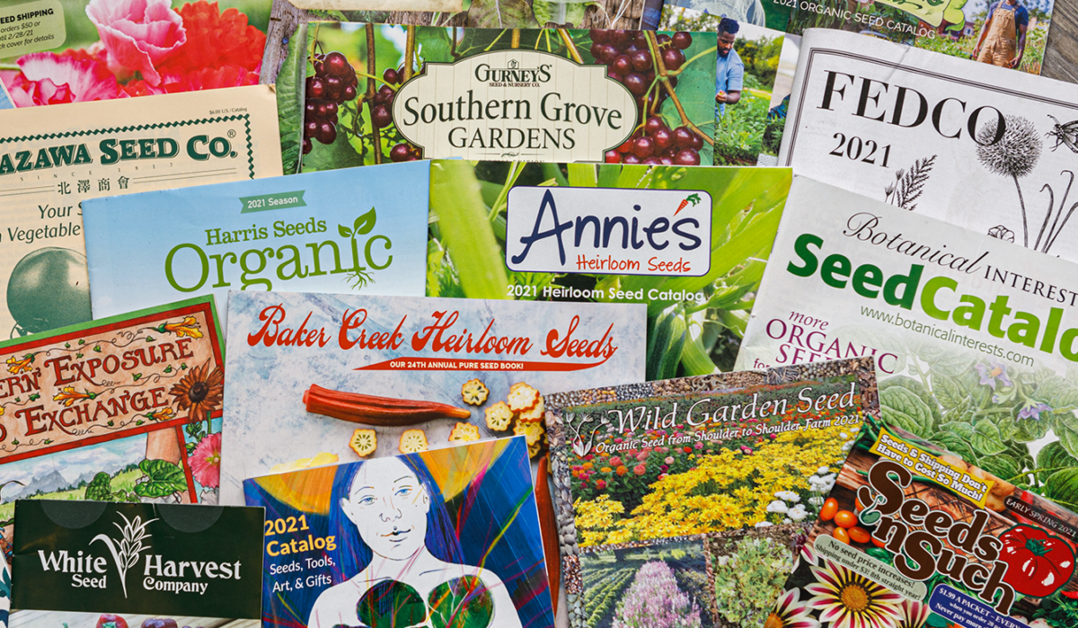 Revisiting Fedco Seeds' Decision to Drop Monsanto, 20 Years Later | The  Organic & Non-GMO Report