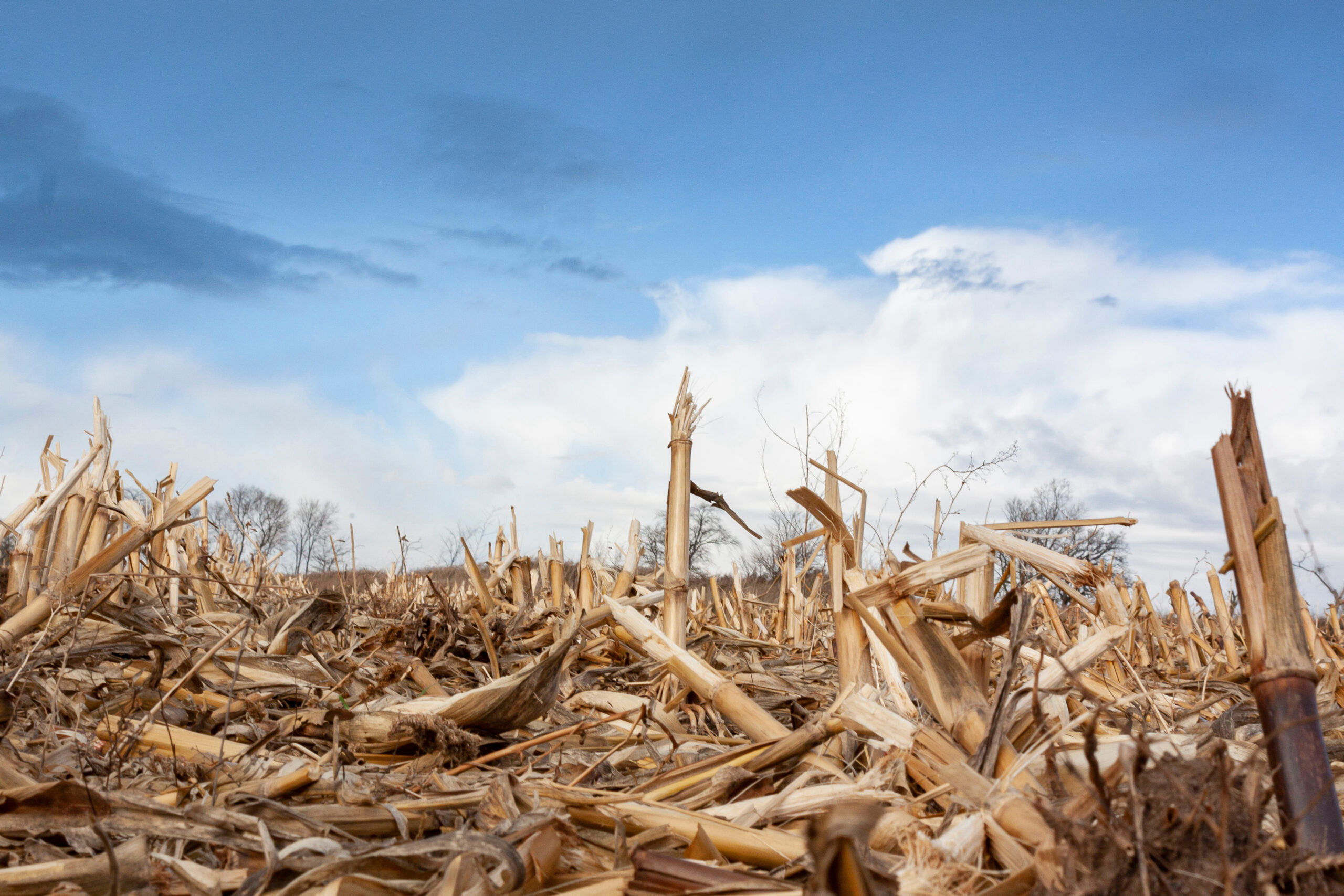 Safety Study Retracted Amid Bayer Lawsuits